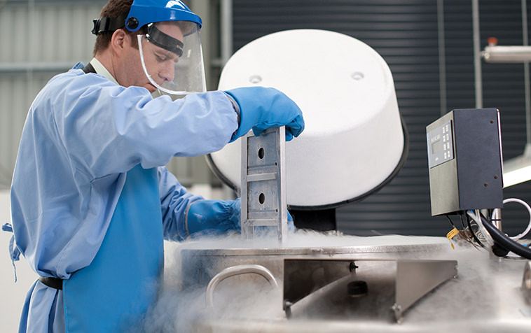 Cord Blood & Tissue Banking Photo